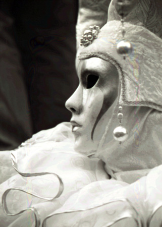Masked in Venice von Michele Vogt