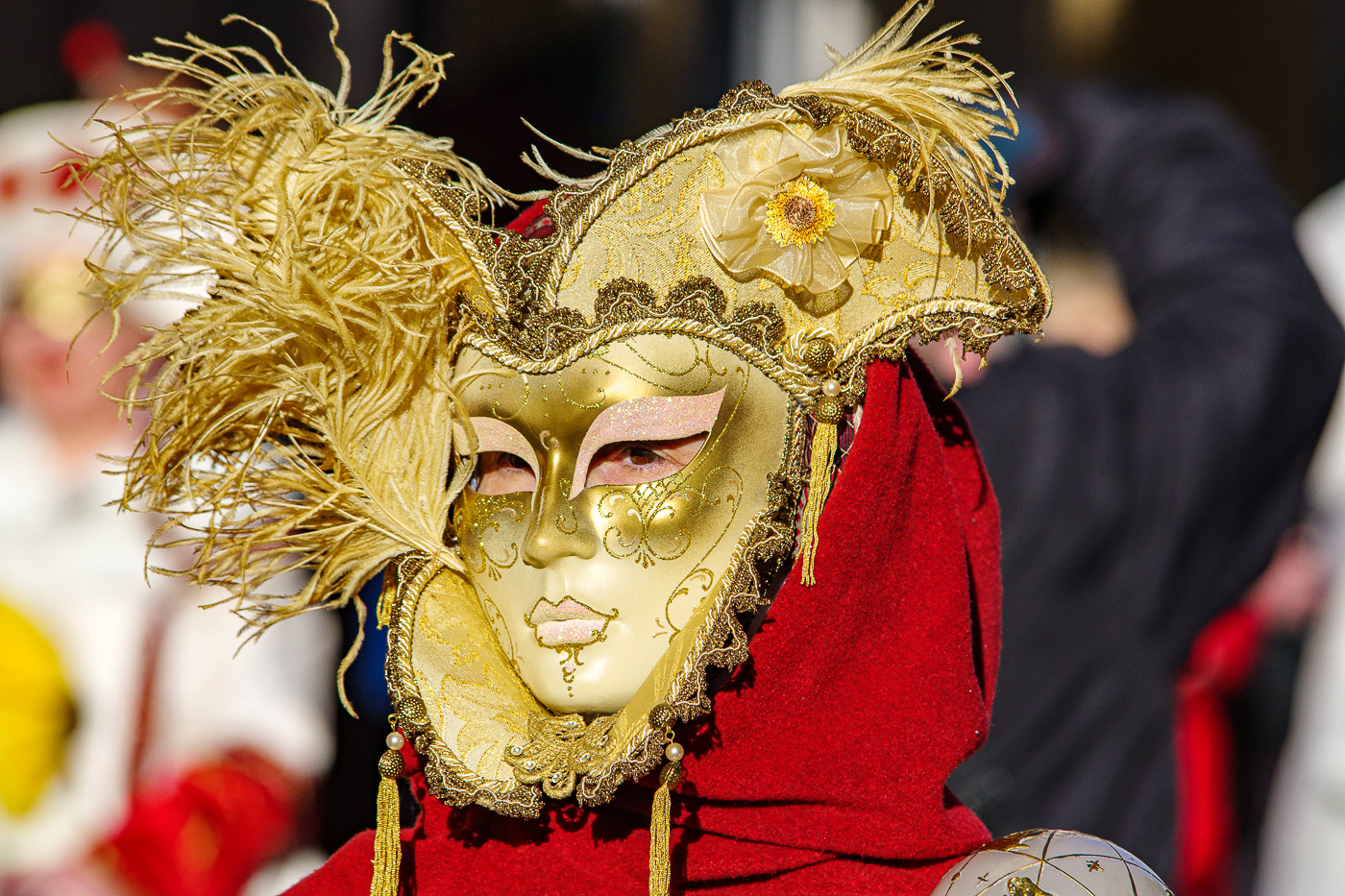 Maskenzauber an der Alster 2024 IV