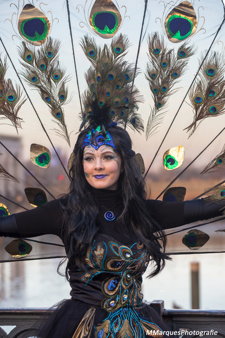 Maskenzauber an der Alster