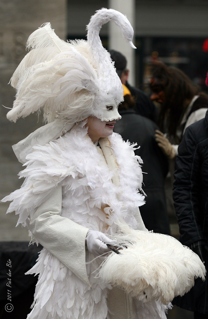 Maskenzauber an der Alster - Schwanensee