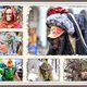 Maskenzauber 2016/17