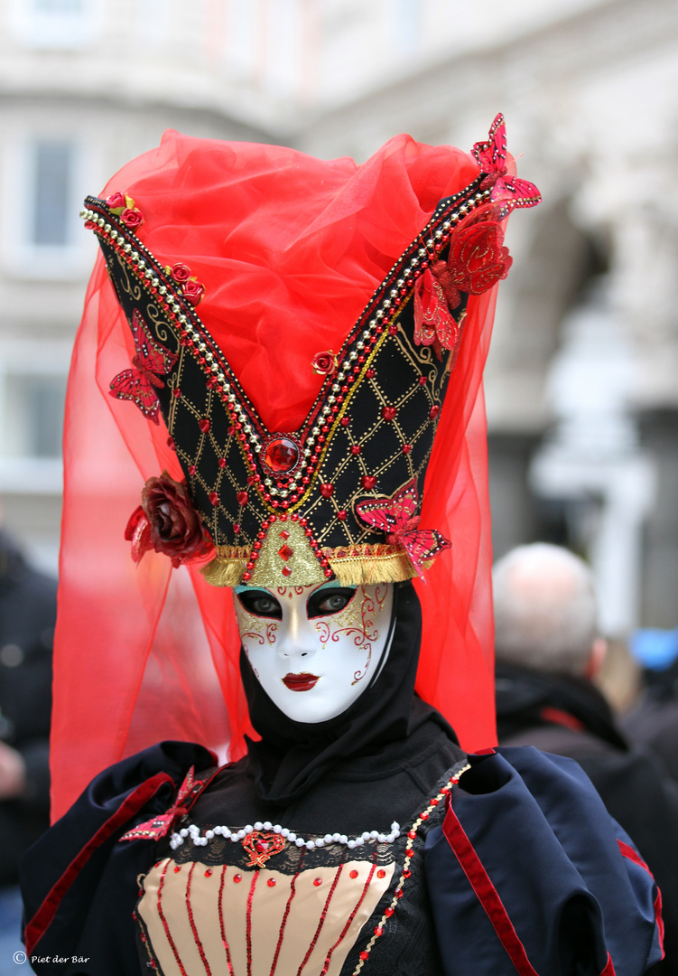 Maskenzauber in Hamburg 2016