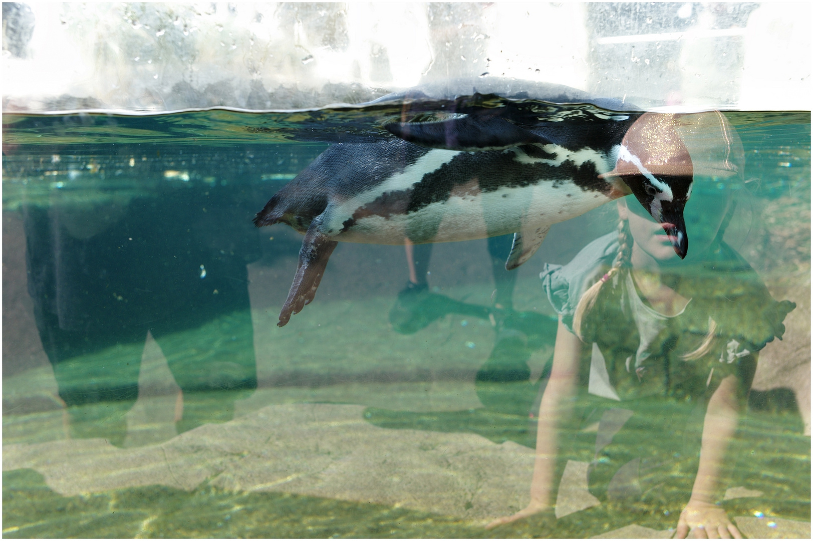 Maskerade Foto & Bild wasser, auge, zoo Bilder auf