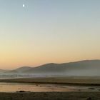 Mason Bay on Stewart Island