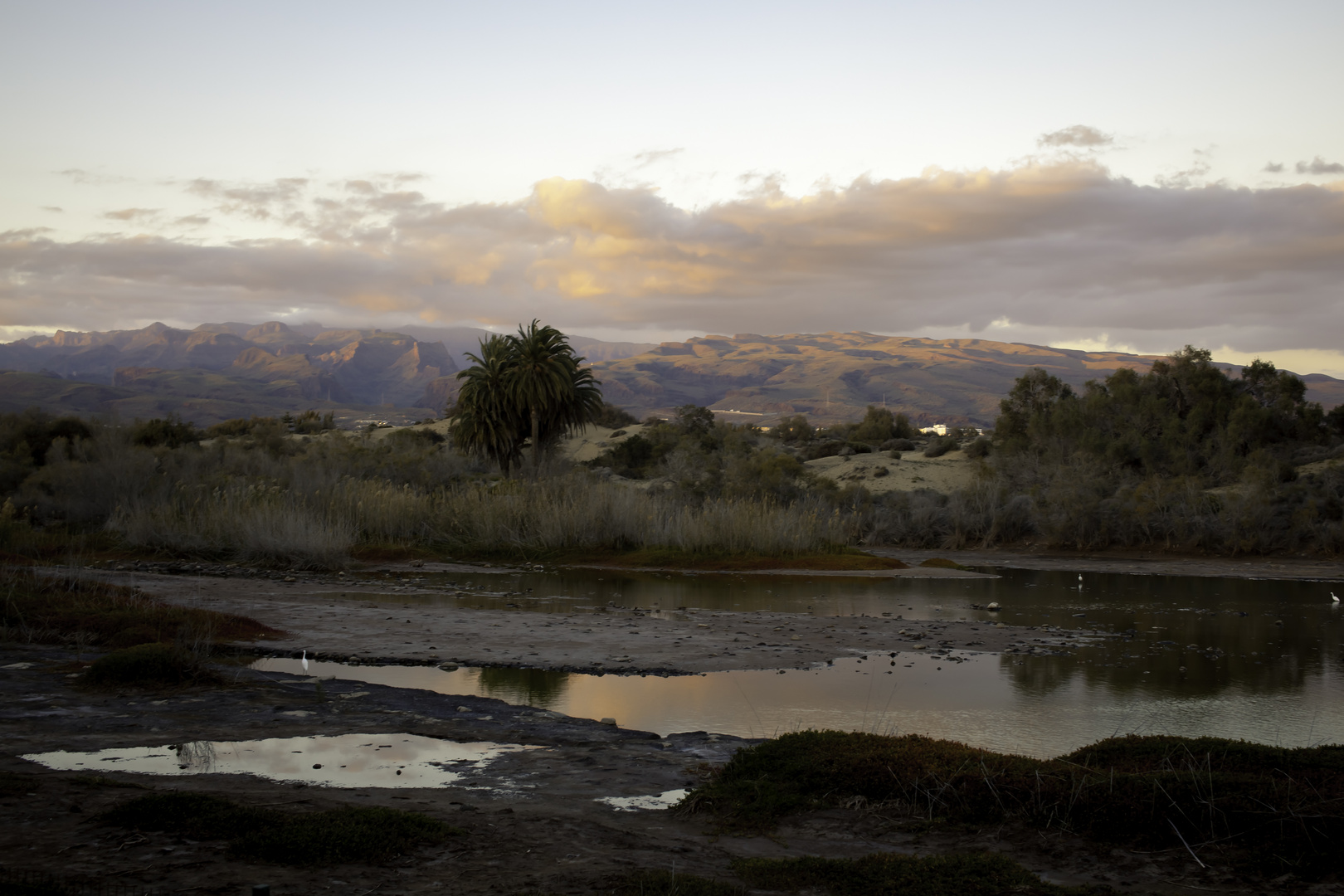 Maspalomas