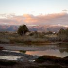 Maspalomas