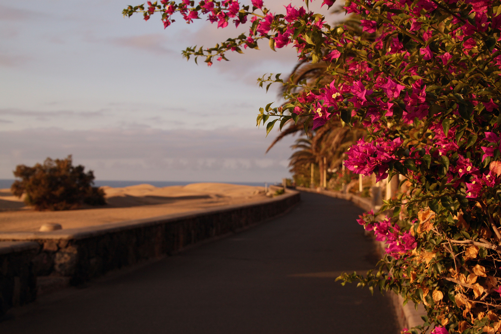 Maspalomas