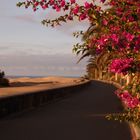 Maspalomas