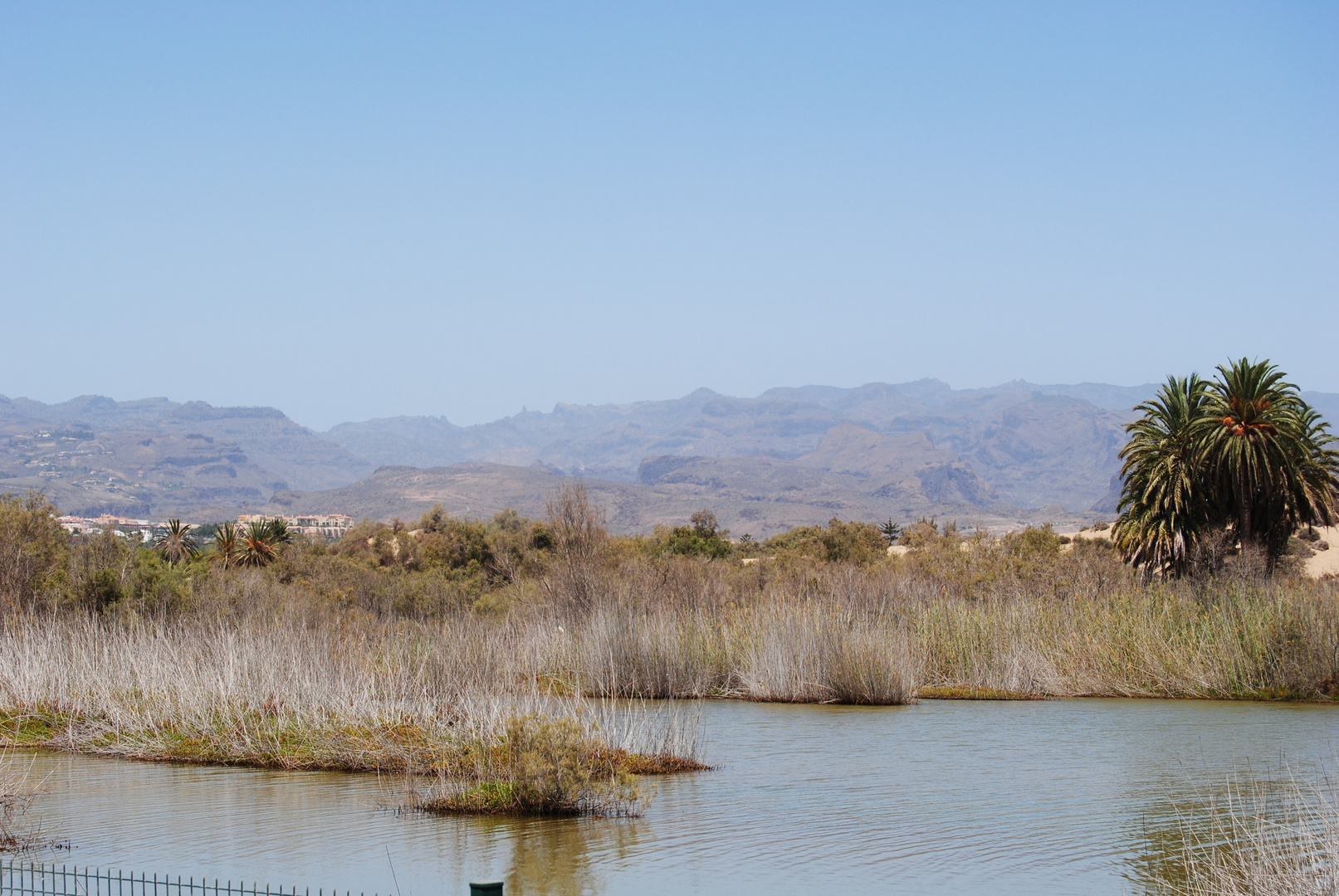 Maspalomas