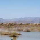 Maspalomas