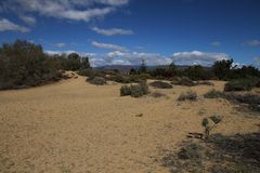 Maspalomas