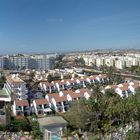 Maspalomas-Bella Vista am 27.12.2011.