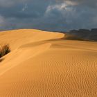 Maspalomas