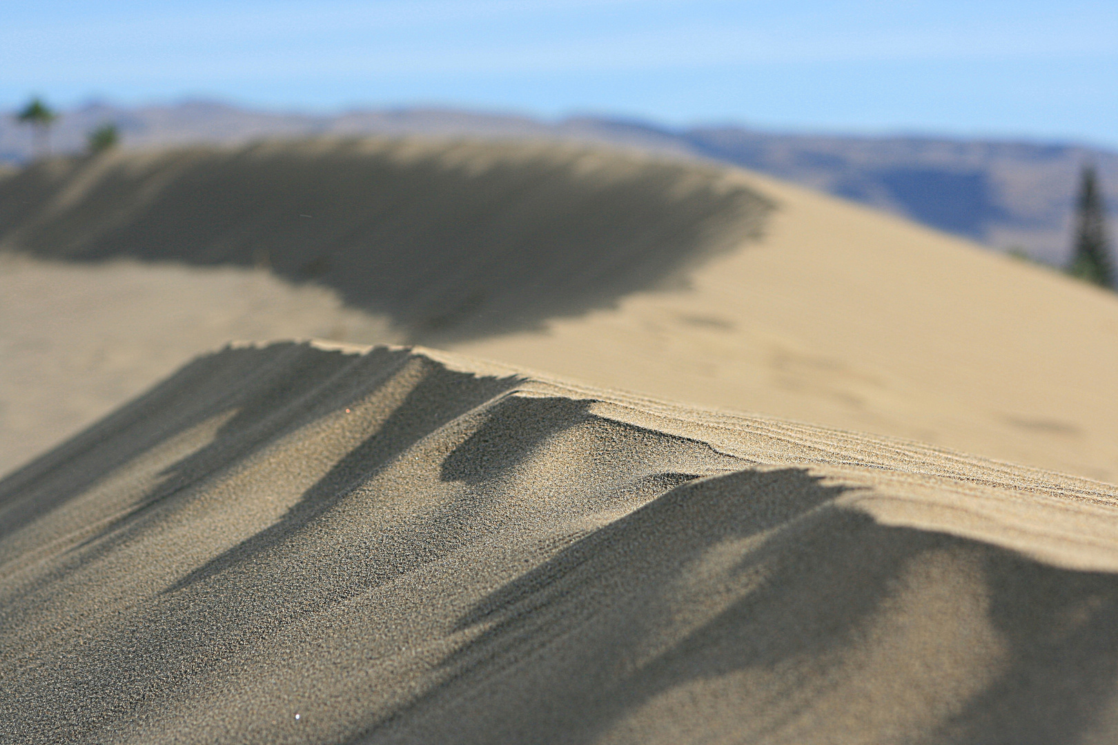 Maspalomas