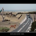 Maspalomas-Sahara Tunnel