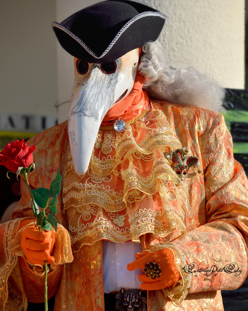 Masqués Vénitiens