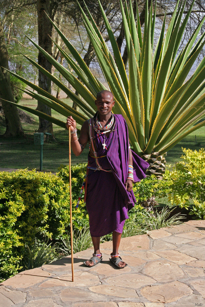 Massai