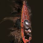 MASSAI