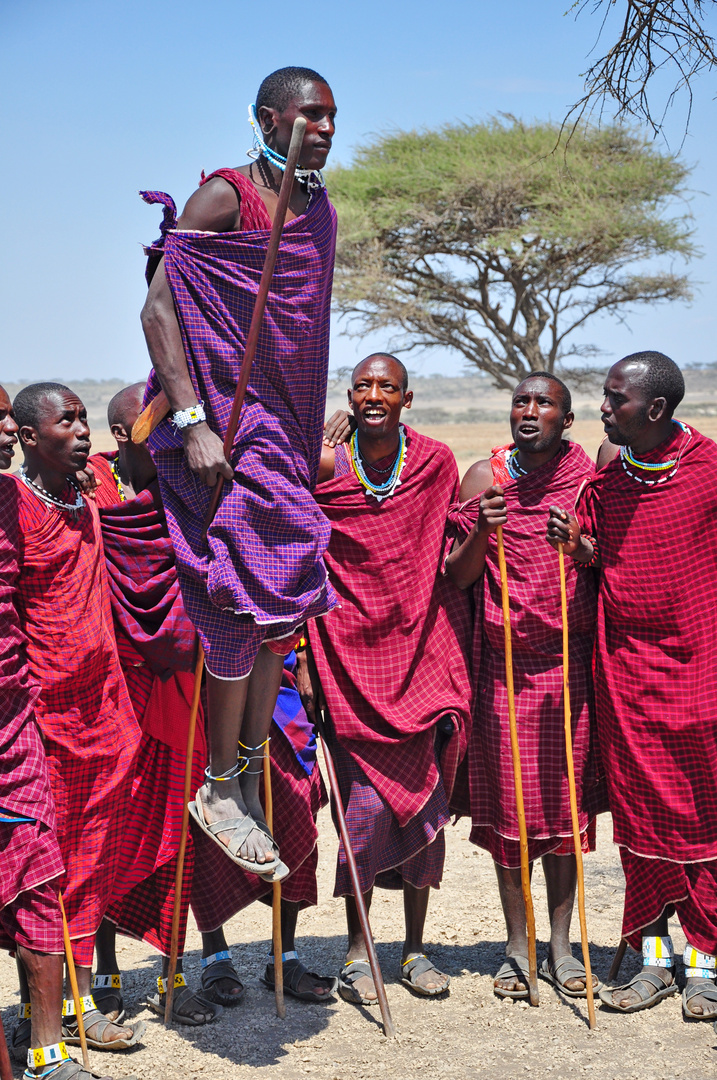 Massai