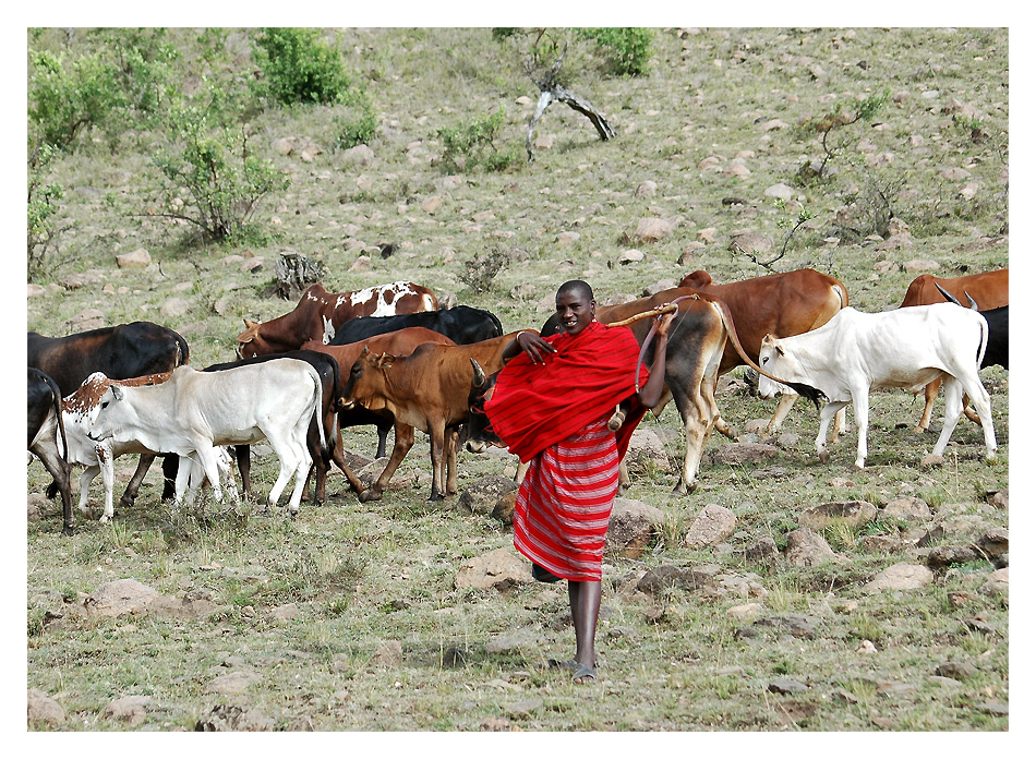 Massai bei der Arbeit