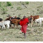 Massai bei der Arbeit