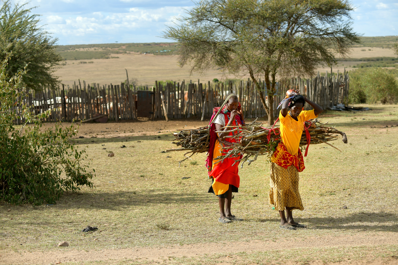 Massai bringen Holz ins Dorf 