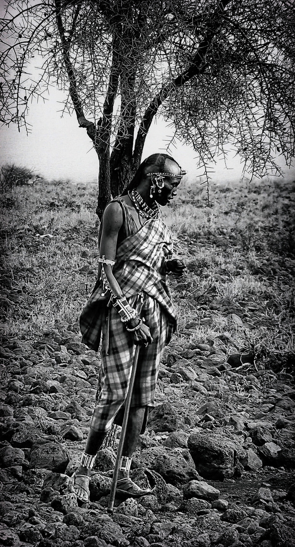 Massai B&W No. 5