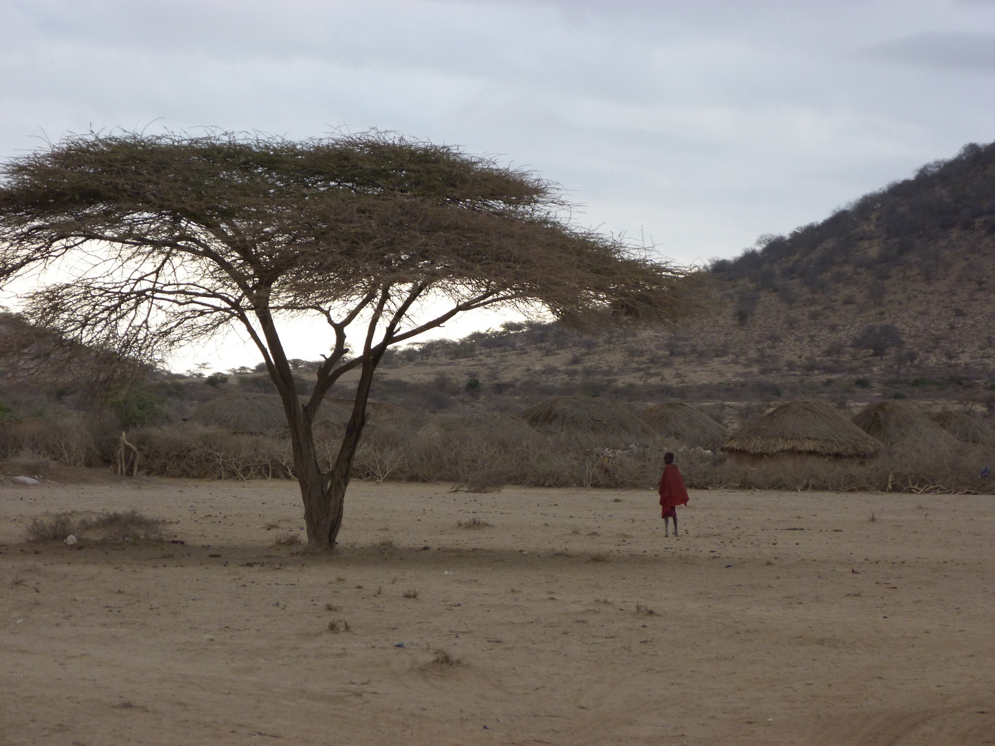 Massai-Dorf-Idylle