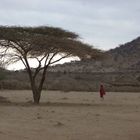 Massai-Dorf-Idylle