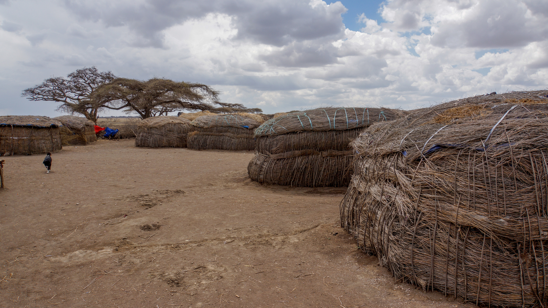 Massai Dorf im Ngorogoro Schutzgebiet