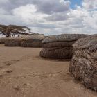 Massai Dorf im Ngorogoro Schutzgebiet