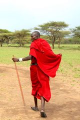 Massai