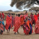 Massai - Frauen beim traditionellem Tanz