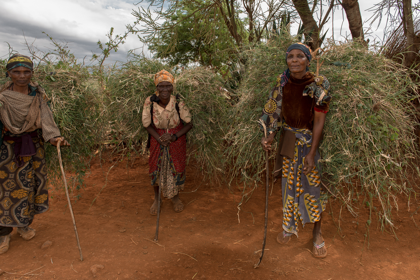Massai Frauen 
