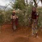 Massai Frauen 