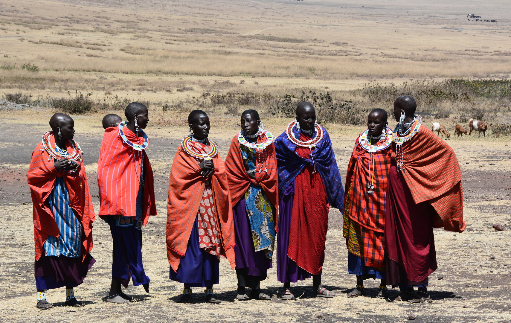 Massai-Frauen