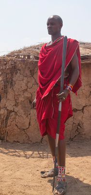 Massai Häuptling