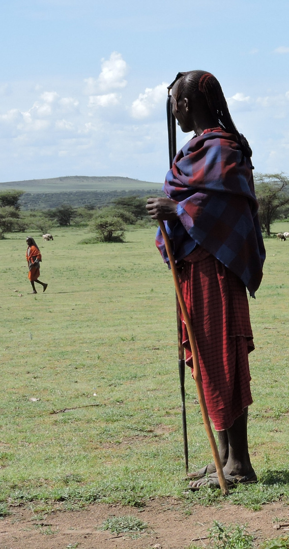 Massai Hirte in der Serengeti 2016