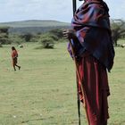 Massai Hirte in der Serengeti 2016