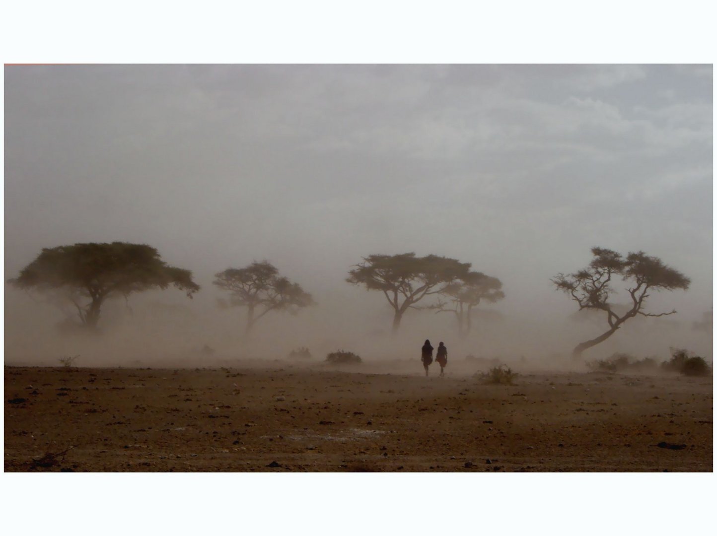 Massai in Sandstorm