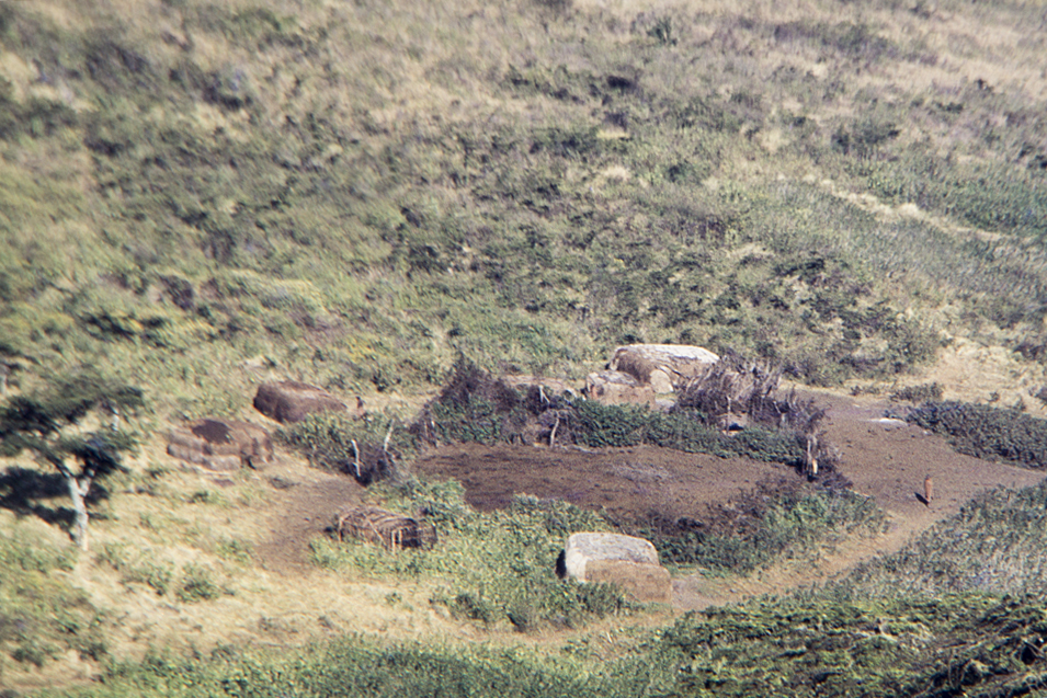 Massai-Kral im Ngorongorokrater