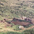 Massai-Kral im Ngorongorokrater