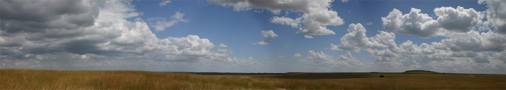 Massai Mara - Serengetti Panorama