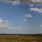 Massai Mara - Serengetti Panorama