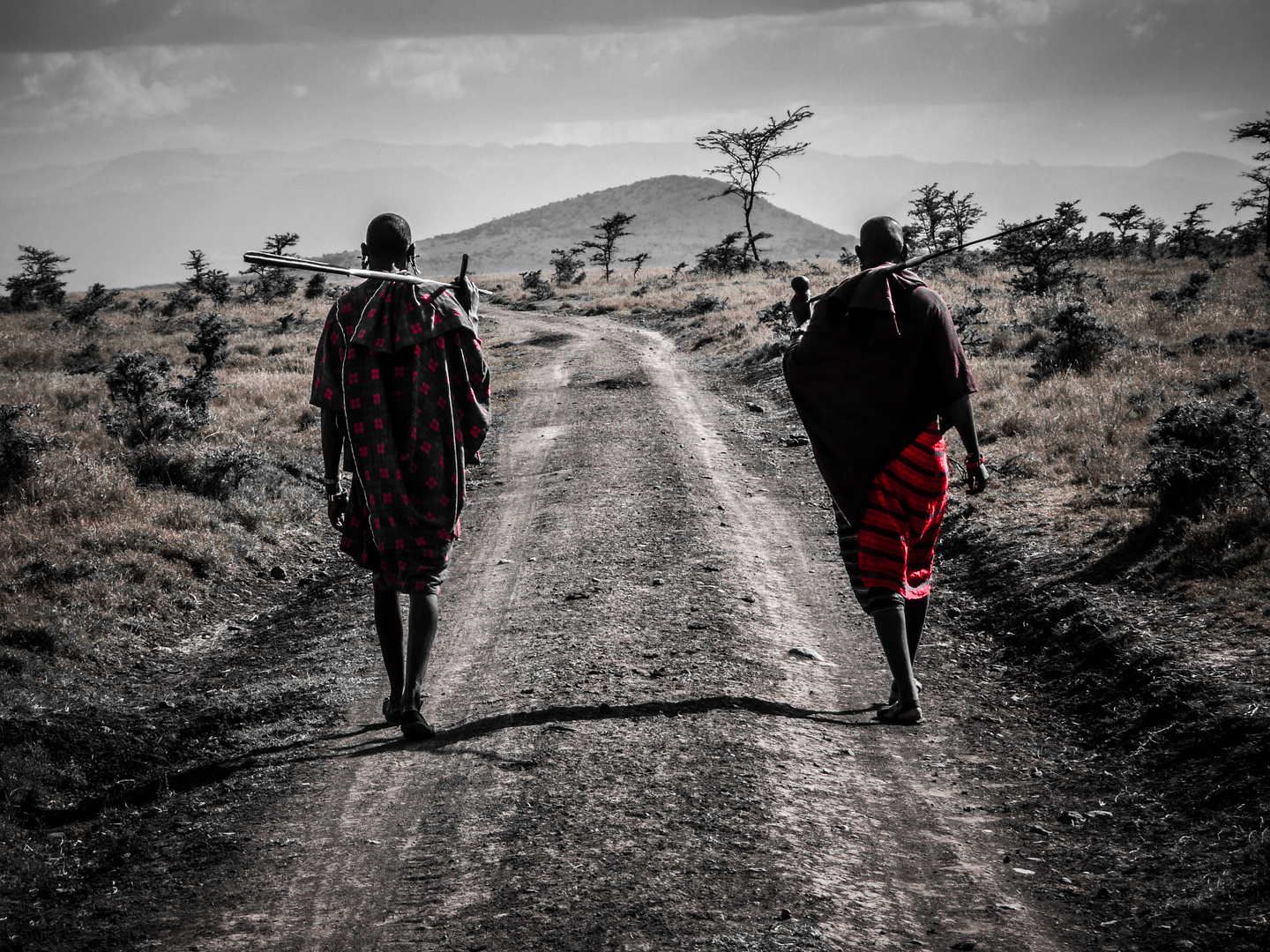 massai masai mara 9