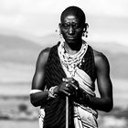 Massai-Warrior-5-BW