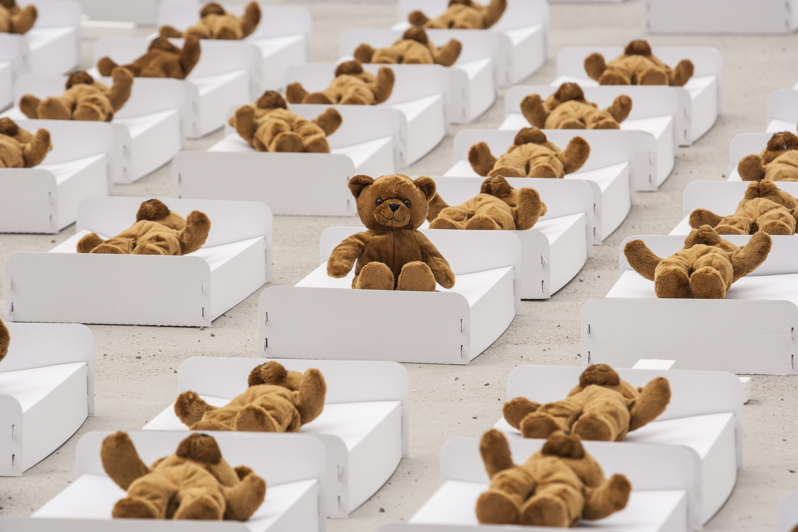 Massensterben der Teddybären 1