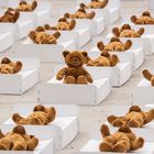 Massensterben der Teddybären 1