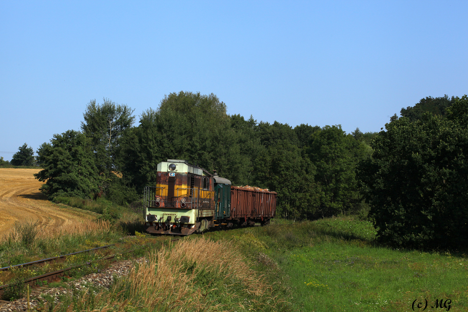 Massentransportgut Holz