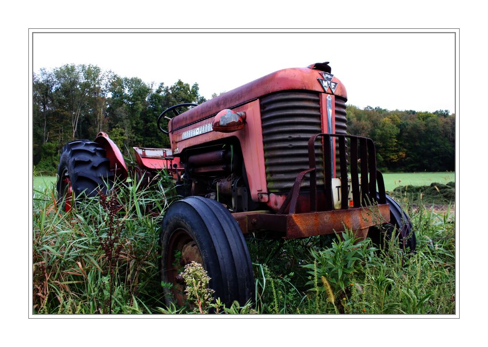 Massey - Ferguson 50*